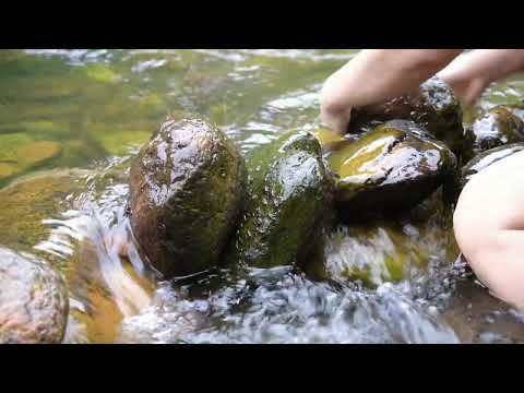 how to weave fishing net can catch a lot of fish from long