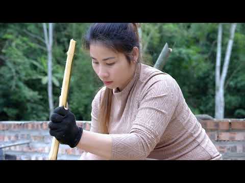 251 Gardening alone How to grow high yield sweet potatoes
