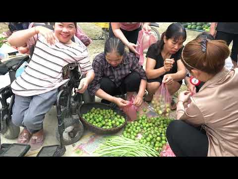 Harvesting plums Selling them at the local market