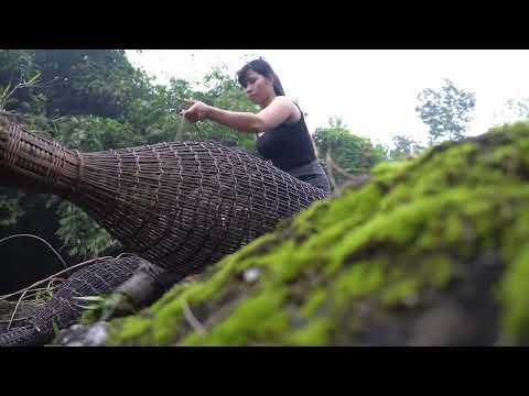 how to catch catfish and cook wild on the river trieu lily