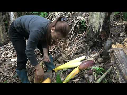 Bamboo Shoots Harvest Eggplant Banana Flower