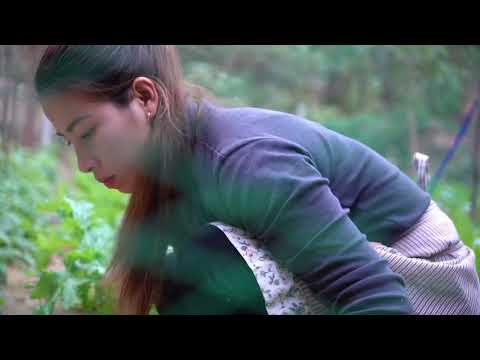230 Dried vegetables are preserved all year round Gardening
