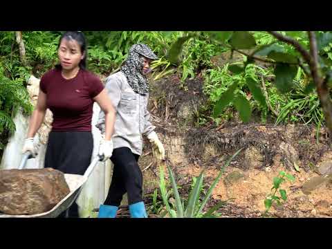 Vaccinating pigs building a new house and catching fish to