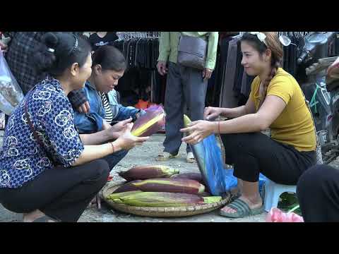Harvesting banana flowers to sell at the market garden and