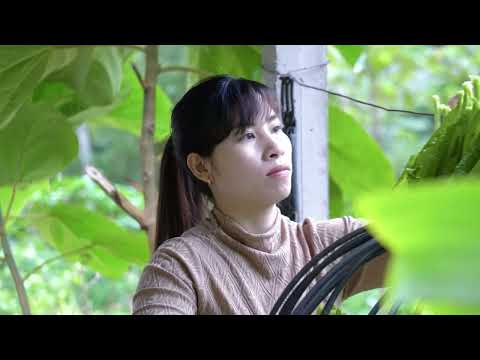 Full video of 30 days of fishing on a bamboo raft COOKING