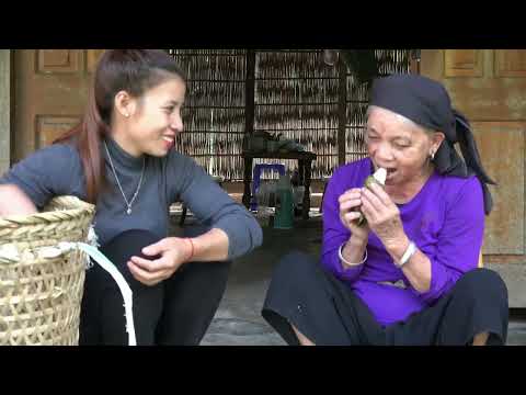 FULL VIDEO 30 days of harvesting bamboo shoots helps a 90