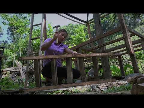 4 years building a poor farm raising chickens ducks and pigs
