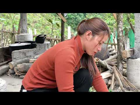 Farm life Calling workers to catch and sell two pigs
