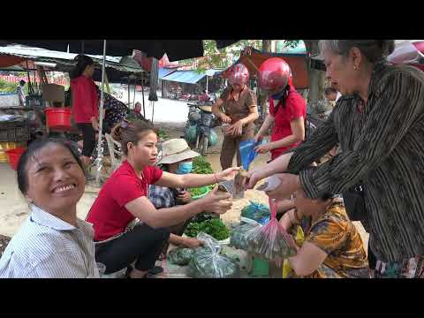Harvesting Lemons Garden Goes to the market sell Gardening