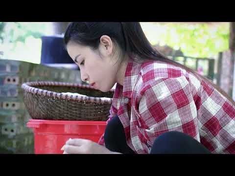 Go Hunting for Bamboo Shoots in the Forest Homemade Dried