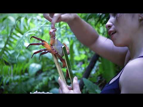 How to find and harvest crabs in mountain streams and