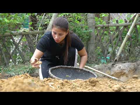 How to build a farm garden and cook with your children