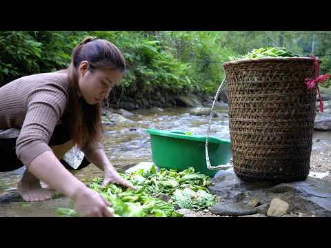 231 How to Store Pickles All Year Round trieu lily