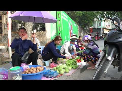 Harvesting Bitter Melon Melon Pear bring to market to sell