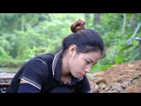 How to build a new project living with nature triệu lily