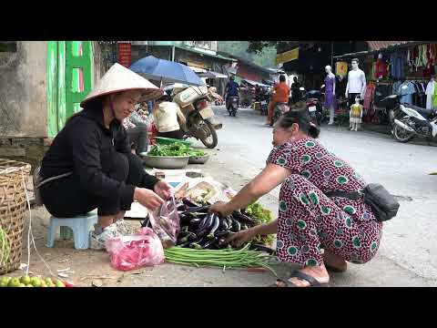 Harvesting Eggplants Long Beans Vegetables Brought To The