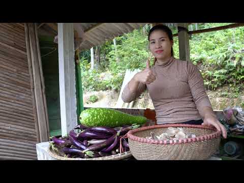 how to grow water spinach and hydroponics on water triệu