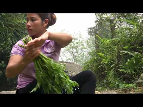 HARVEST Celery Vegetables Bring to the Market to Sell Farm