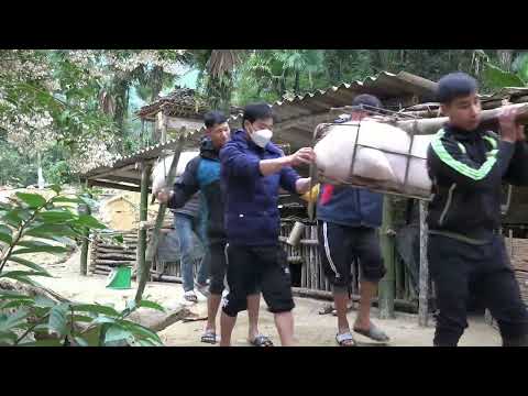 FULL VIDEO 30 DAYS Harvest vegetables and fruits to sell