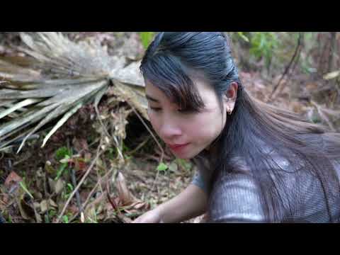 Full video 30 days living with nature cooking chicken care