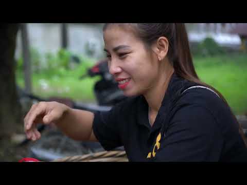 Harvest orange orchards to sell and live on the farm with