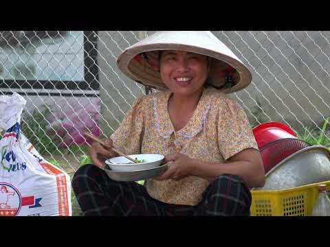 Build A Farm HarvestIing Vegetables To Sell farm life Triệu
