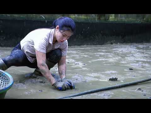 Living with Nature Catching Fish and Planting Vegetables in