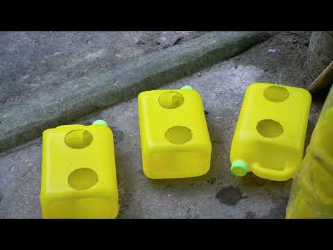how to grow hydroponic lettuce homegrown vegetables