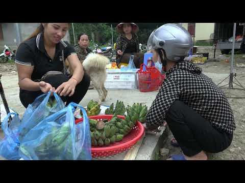 Harvesting ripe bananas to sell at the market farm life