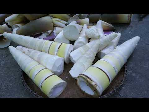 Duck stew with bamboo shoots made with fermented bamboo