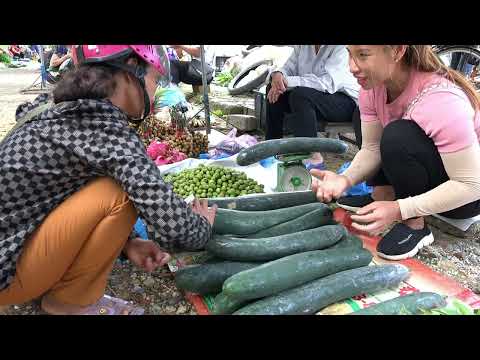 Harvesting Squash Garden Goes To The Market Sell Release