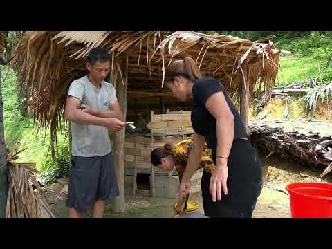 Harvesting Fish Ponds Selling Fish Improving Ponds Farm