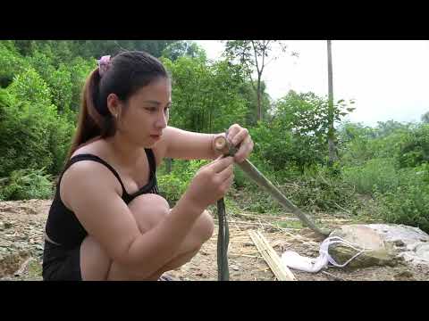farm life catch fish cook live with nature triệu lily