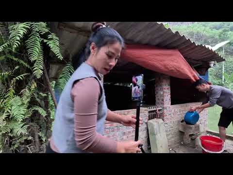 Live video Helping Lily 8 months pregnant assist her sow in