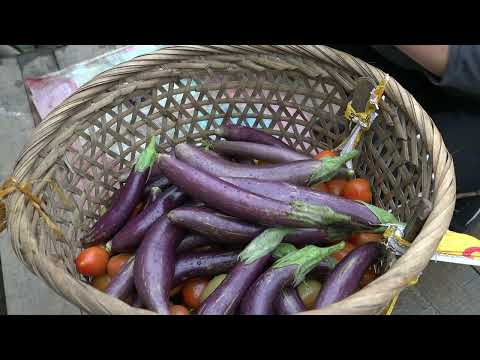 harvest tomato eggplant cucumber bring to market to sell