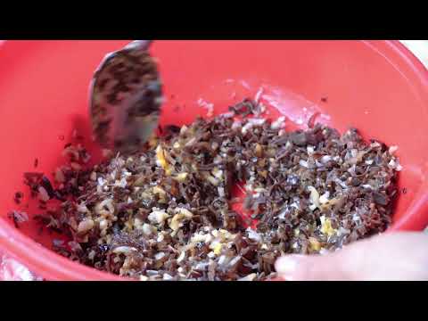 How to make pork leg from 10kg of pork triệu lily