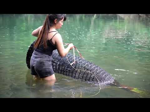 Catching giant catfish with cages on a wild river Primitive