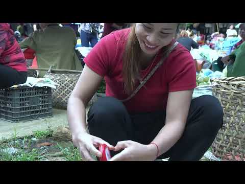 Harvest Bamboo Shoots How To process boiled bamboo shoots