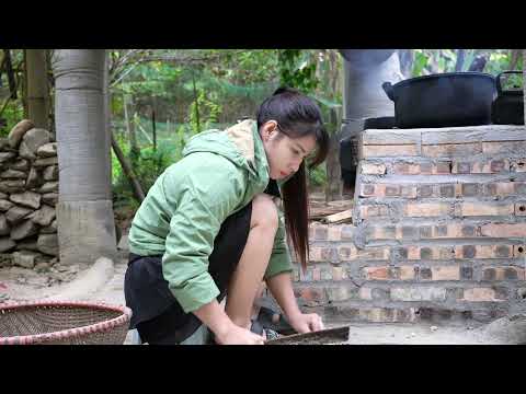 Harvesting young corn and caring for newly hatched chicks