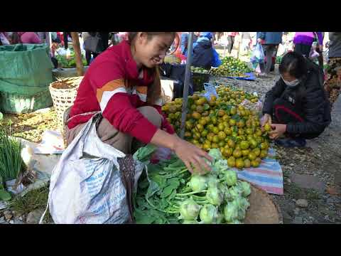 harvest kohlrabi selling at the market cooking with my