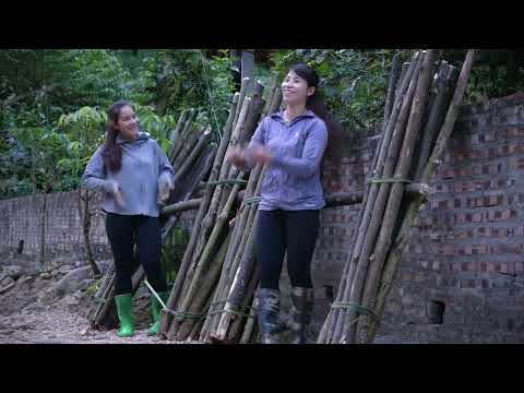 Two girls go into the forest to collect firewood make wine