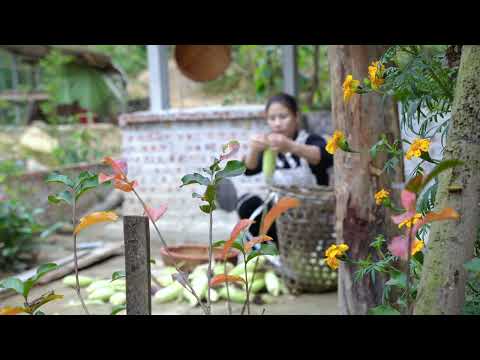 239 Harvesting corn and how to make corn cakes and steamed