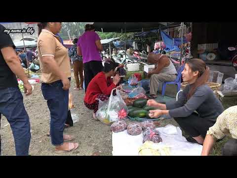 115 Harvest bamboo shoots Go to the market to sell bamboo
