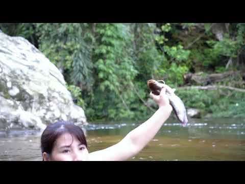 How to catch stream fish Skills in catching fish and