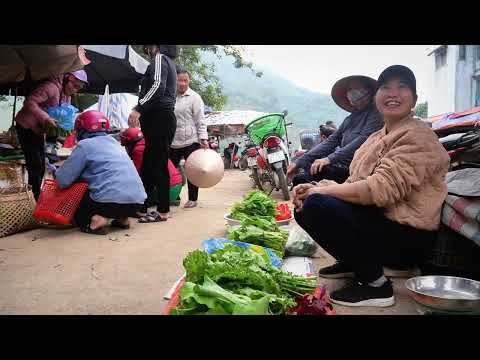 Harvesting Green Gourds for Market Saving for Our Baby s