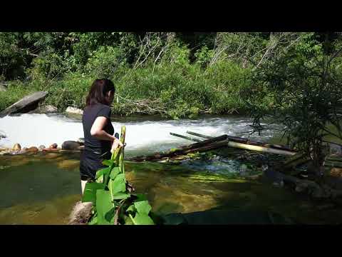 How to Build Bamboo Rafts for Fishing Traditional River
