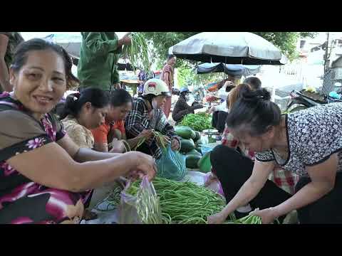 FULL VIDEO 30 DAYS harvest melons eggplants squash and
