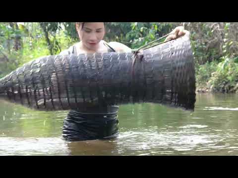 Three years of building the farm catching fish and living