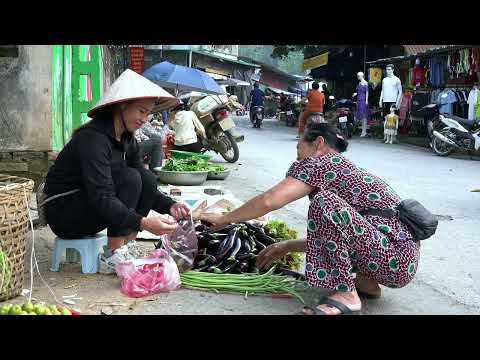 FULL VIDEO 30 DAYS harvest Fruits Fruits Bring To The