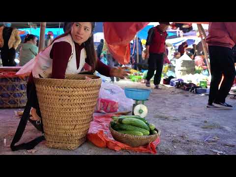 6 months pregnant and harvesting cucumbers to sell at the